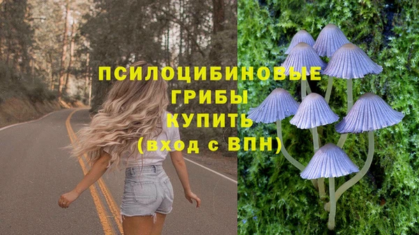 мет Белокуриха