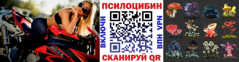 Псилоцибиновые грибы Cubensis  хочу наркоту  Железноводск 