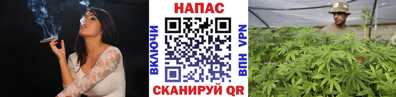 Канабис SATIVA & INDICA  купить закладку  Железноводск 